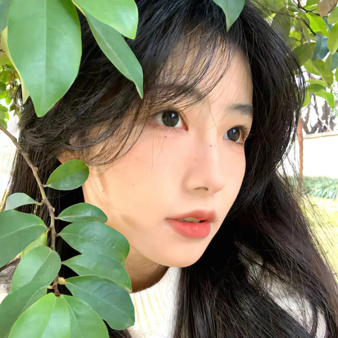 不羁之旅